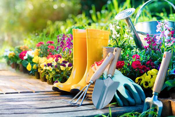 Gelbe Gummistiefel stehen zusammen mit anderen Gartenutensilien wie Hacke und Schaufel im Garten