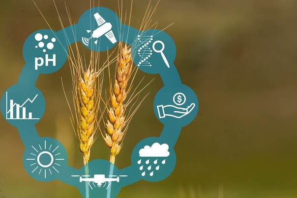 RAISA eG: Ein Logo mit verschiedenen Symbolen, unter anderem Wetter, Börse, PH Wert