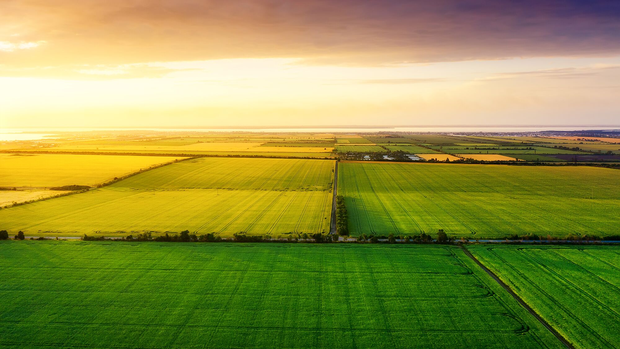 Luftaufnahme im sonnigen Abendlicht: Felder und Wiesen bis zum Horizont.