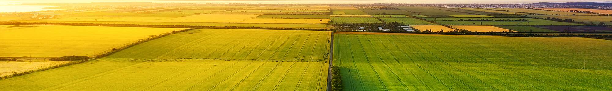 Luftaufnahme im sonnigen Abendlicht: Felder und Wiesen bis zum Horizont.