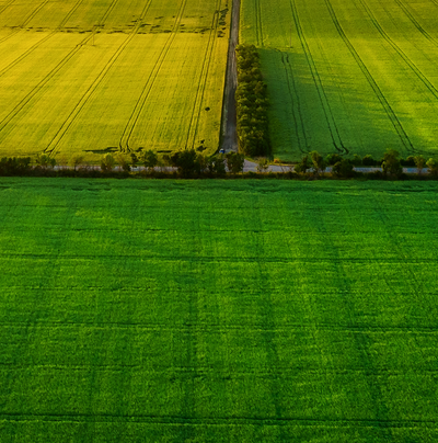 Luftaufnahme im sonnigen Abendlicht: Felder und Wiesen bis zum Horizont.