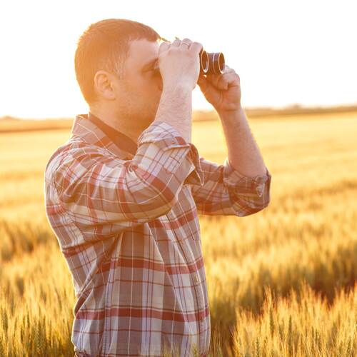 Mann steht auf dem Feld und schaut mit dem Feldstecher in Richtung des rechten Bildrandes