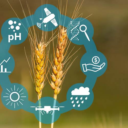 RAISA eG: Ein Logo mit verschiedenen Symbolen, unter anderem Wetter, Börse, PH Wert