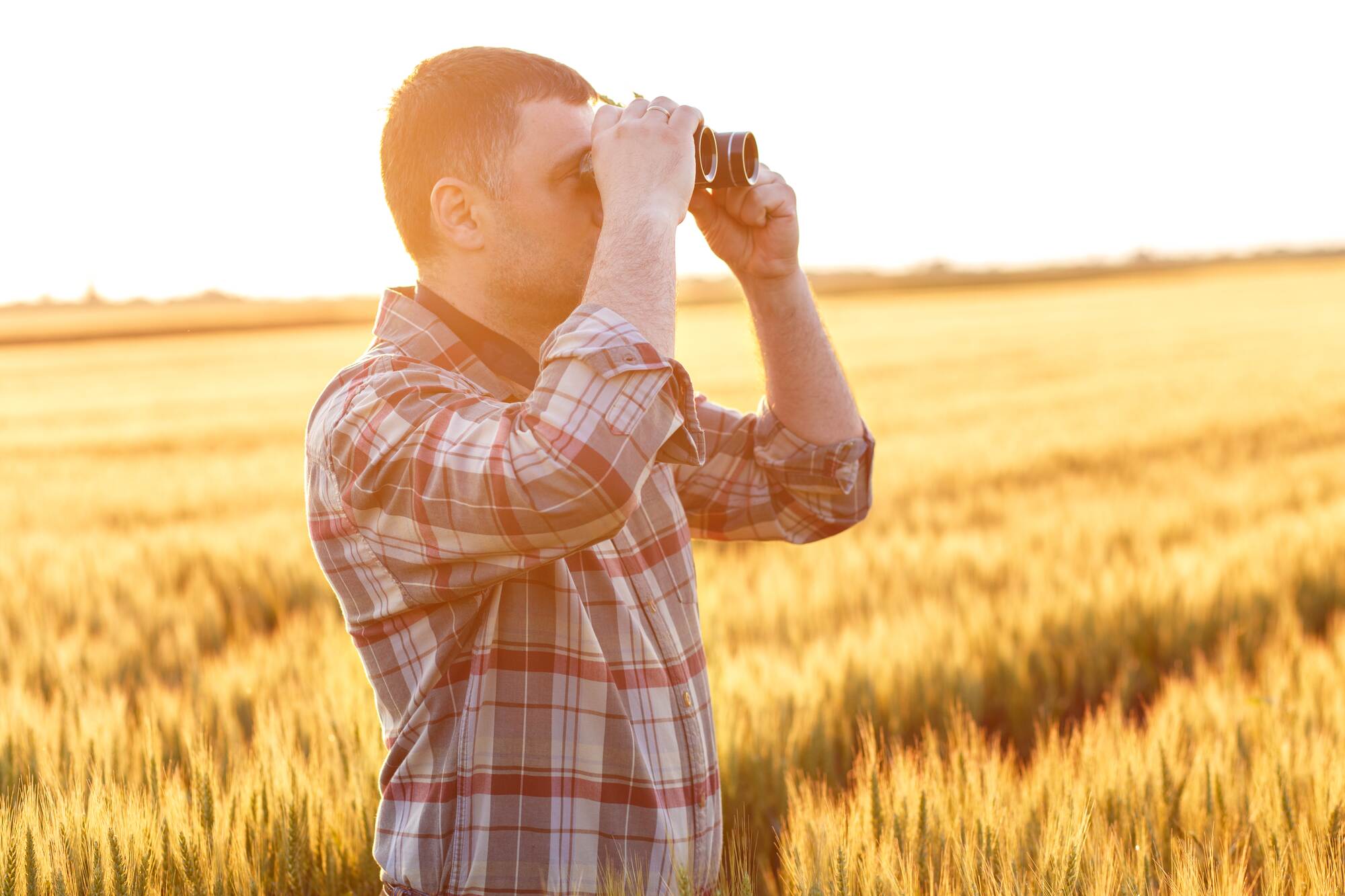 Mann steht auf dem Feld und schaut mit dem Feldstecher in Richtung des rechten Bildrandes